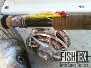 TFO Hatch