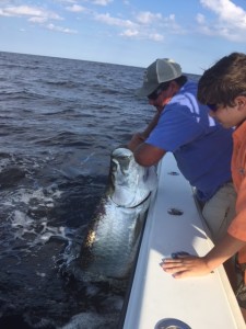 Greg Tarpon