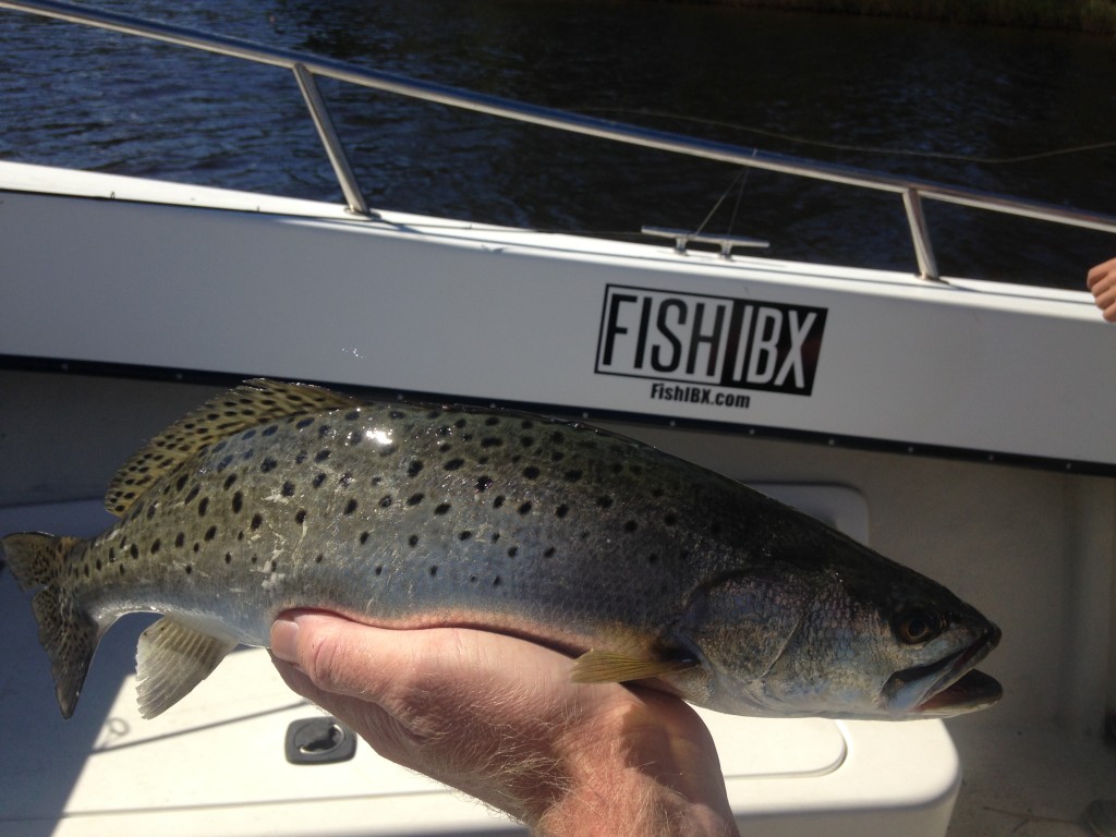 Trout Fishing Eastern NC Fishing Guide
