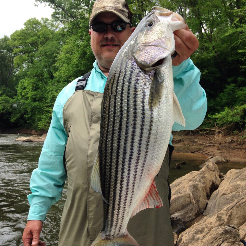 Epic Topwater! Eastern NC Fishing Guide
