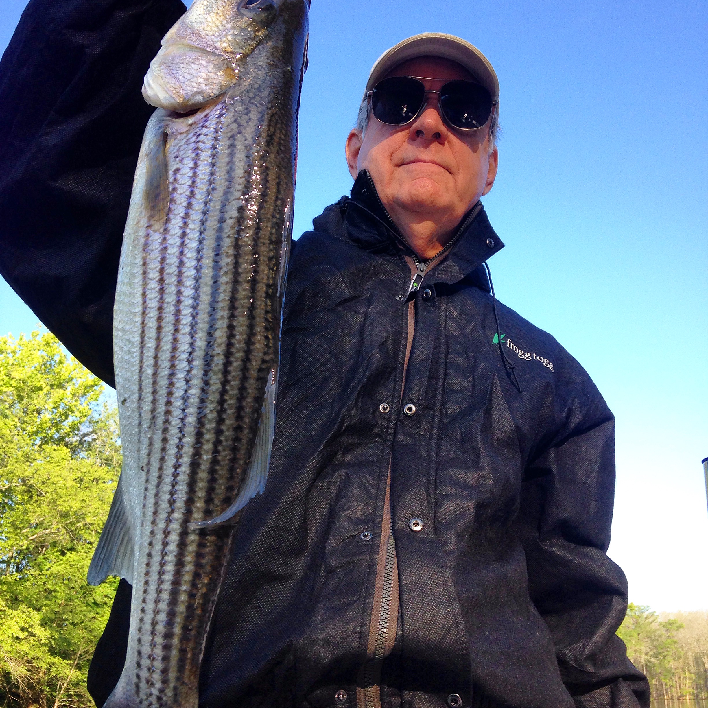 Roanoke River Striped Bass Eastern NC Fishing Guide