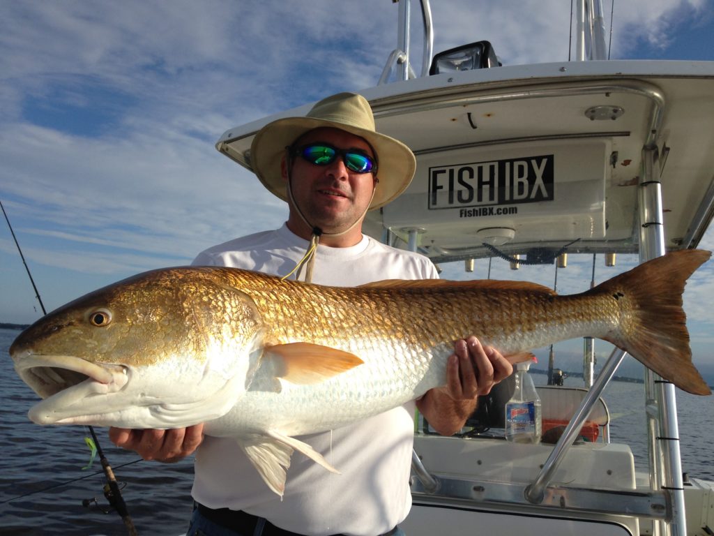 NC Trophy Red Drum Eastern NC Fishing Guide