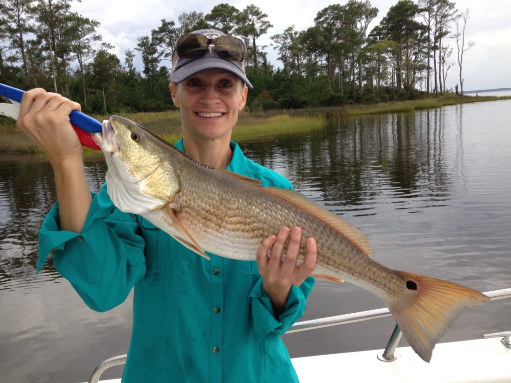 Slot Reds Released Eastern NC Fishing Guide