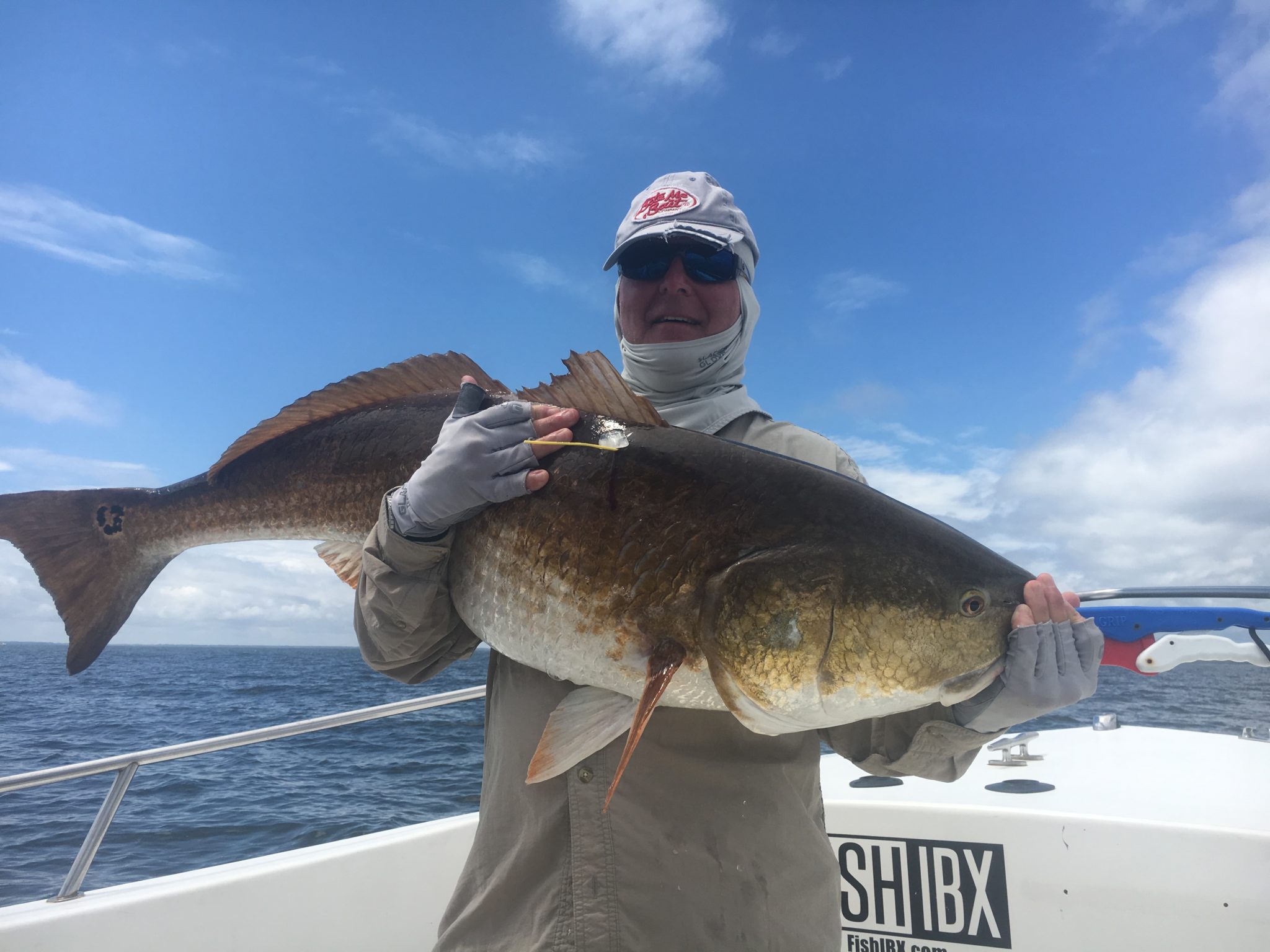 trophy freshwater drum mud river trophy freshwater drum mud river