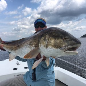 Trophy Red Drum Eat Lures! - Eastern NC Fishing Guide