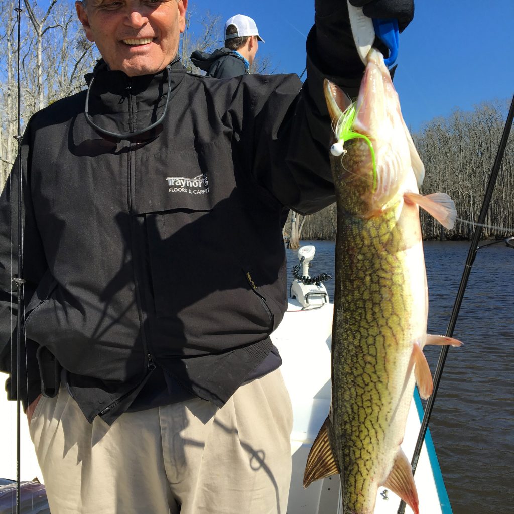 Roanoke River Rockfish FishIBX Eastern NC Fishing Guide