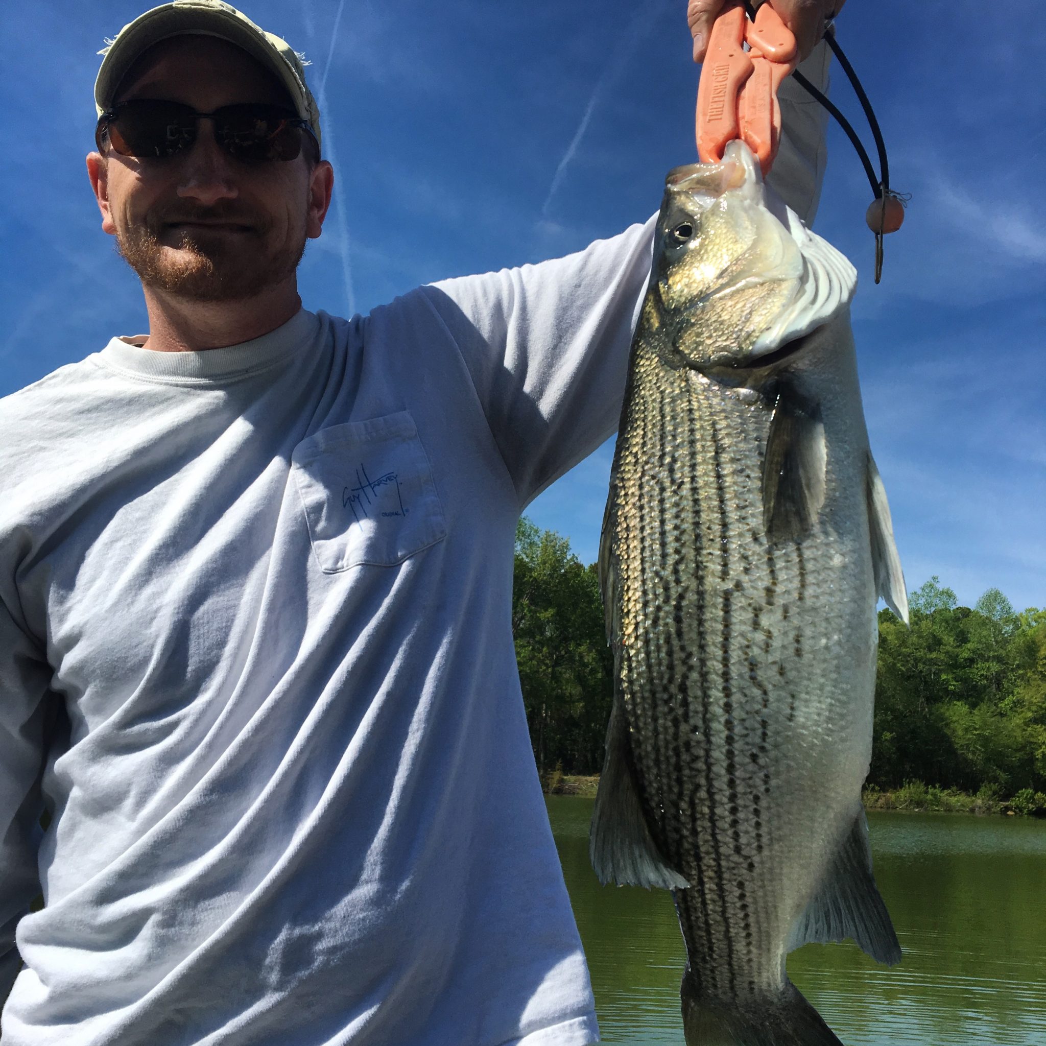 Sweetwater Lake - Eastern NC Fishing Guide