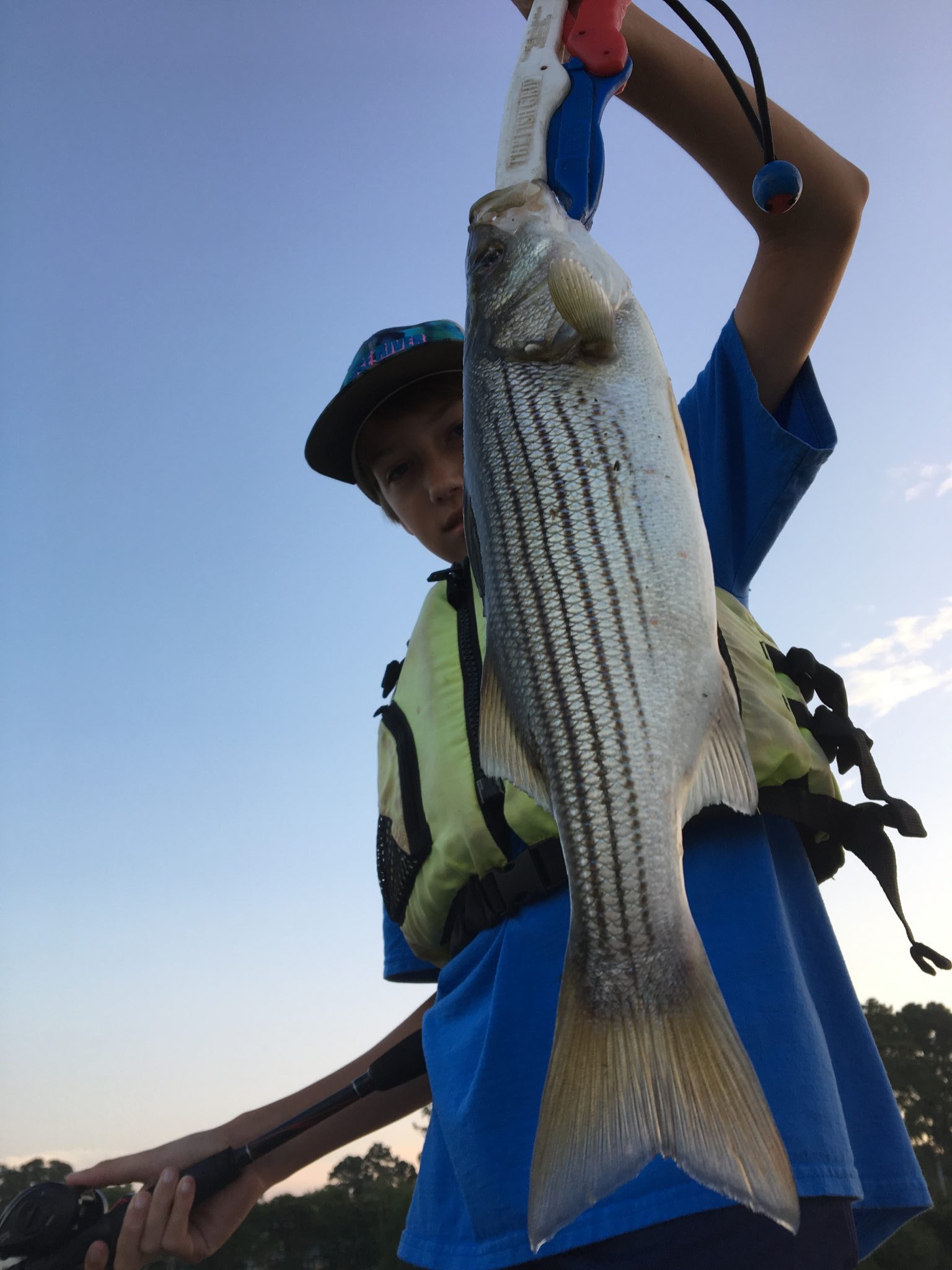 Striped Bass Guide Roanoke Pamlico Neuse River Fish IBX
