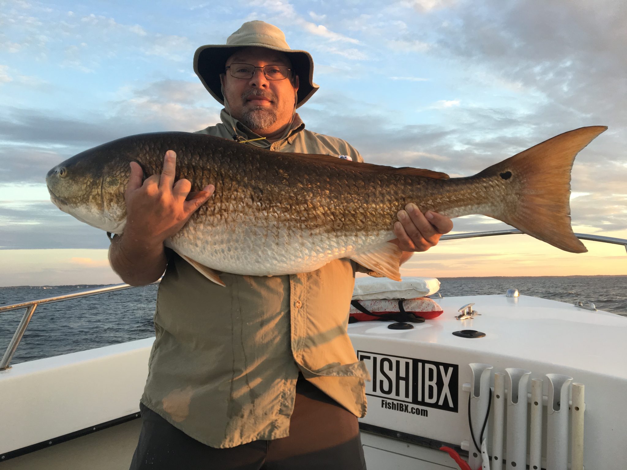 trophy freshwater drum mud river trophy freshwater drum mud river