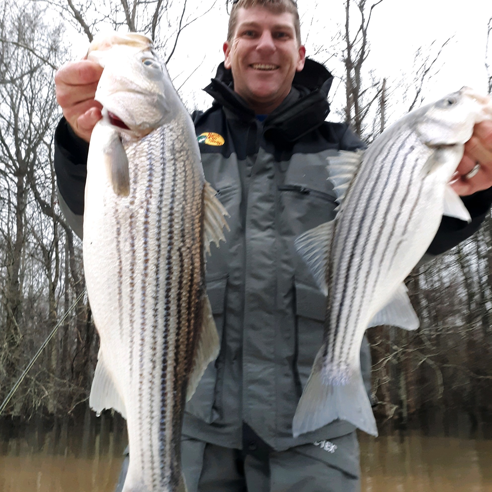 Roanoke River Rockfish, Striped Bass Guide FishIBX Eastern NC Fishing