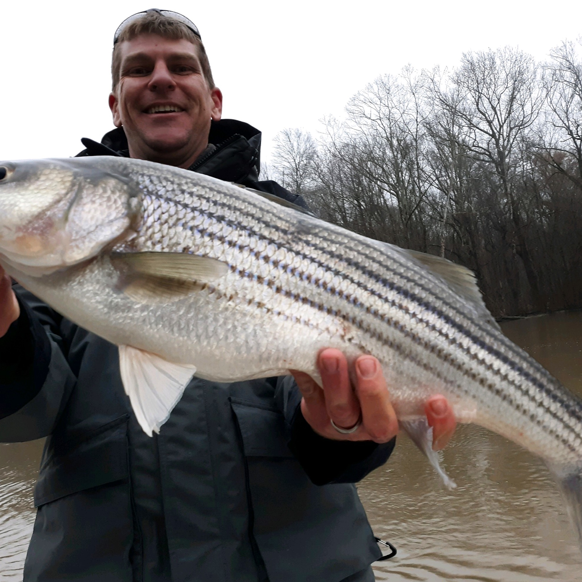 Roanoke River Rockfish, Striped Bass Guide Eastern NC Fishing Guide