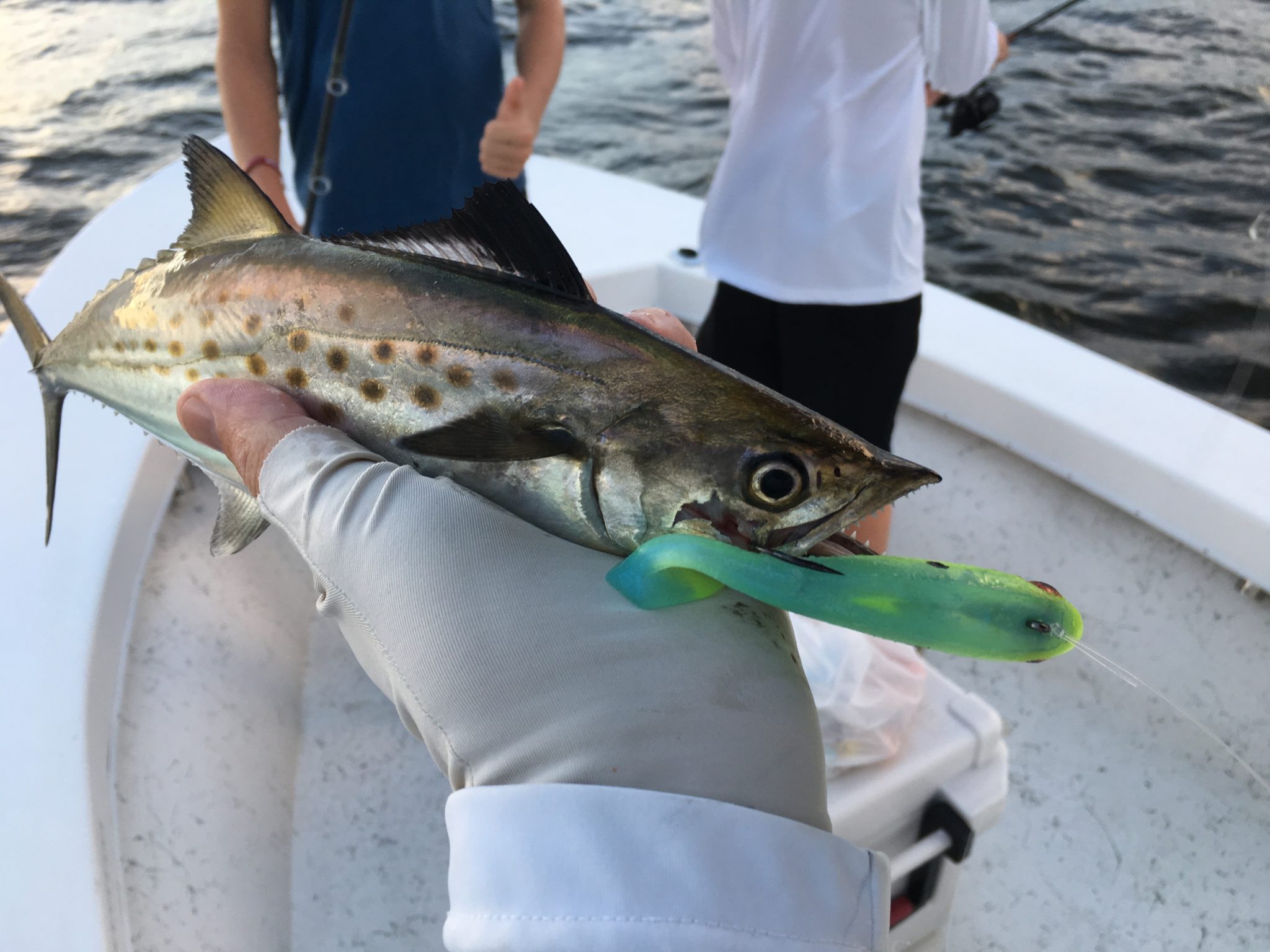 Trophy Reds, Spanish, Trout, Blues, Flounder, Guided Fishing Eastern