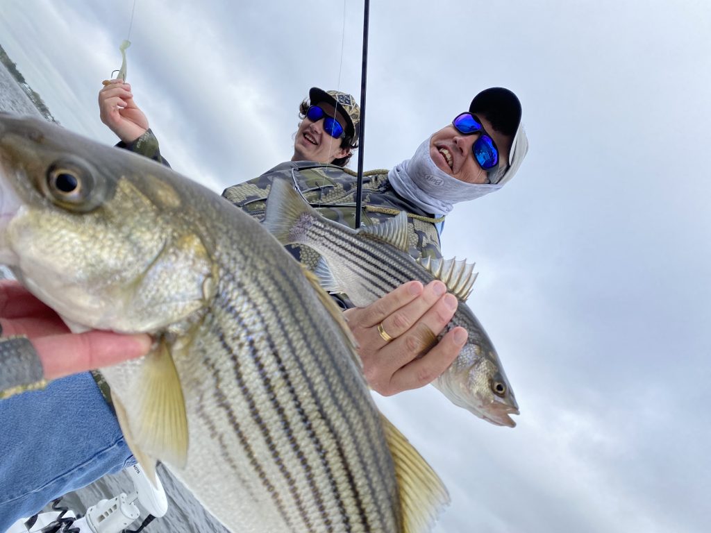 Striped Bass Catching NC Striper Guide Eastern NC Fishing Guide