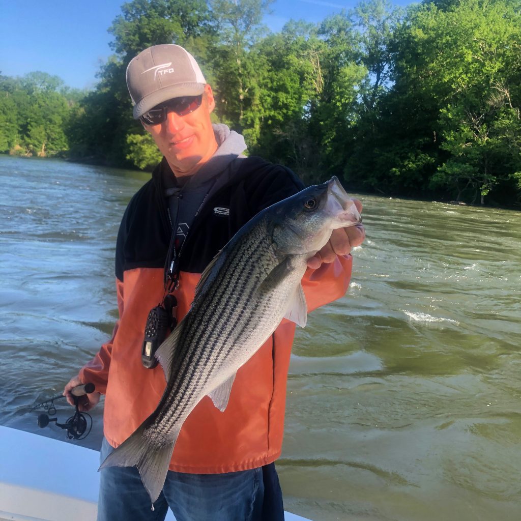 Weldon NC, Rockfish Capital Of The World, Guided Eastern NC Fishing Guide