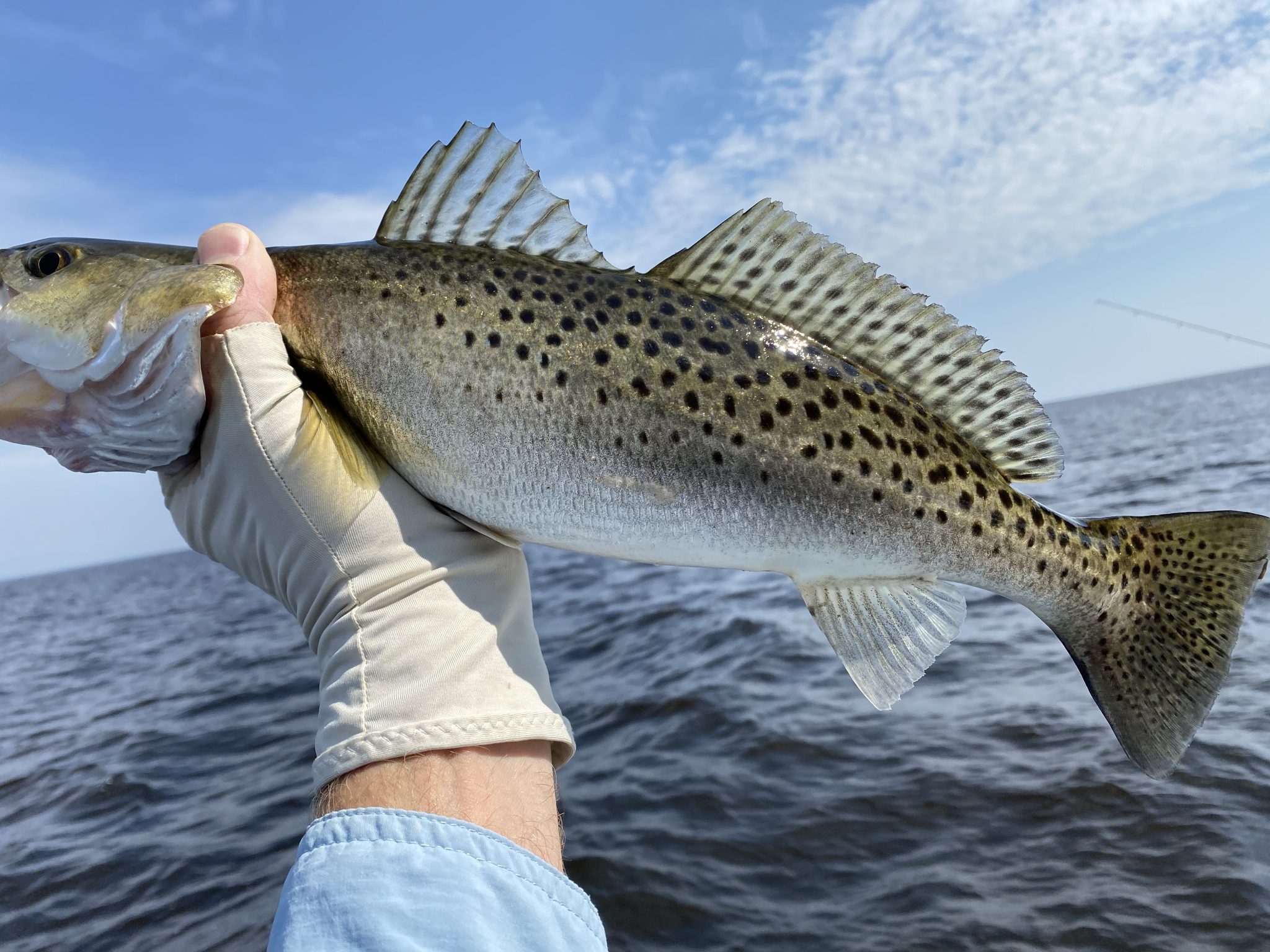 Deep Water Trout FishIBX Eastern NC Fishing Guide