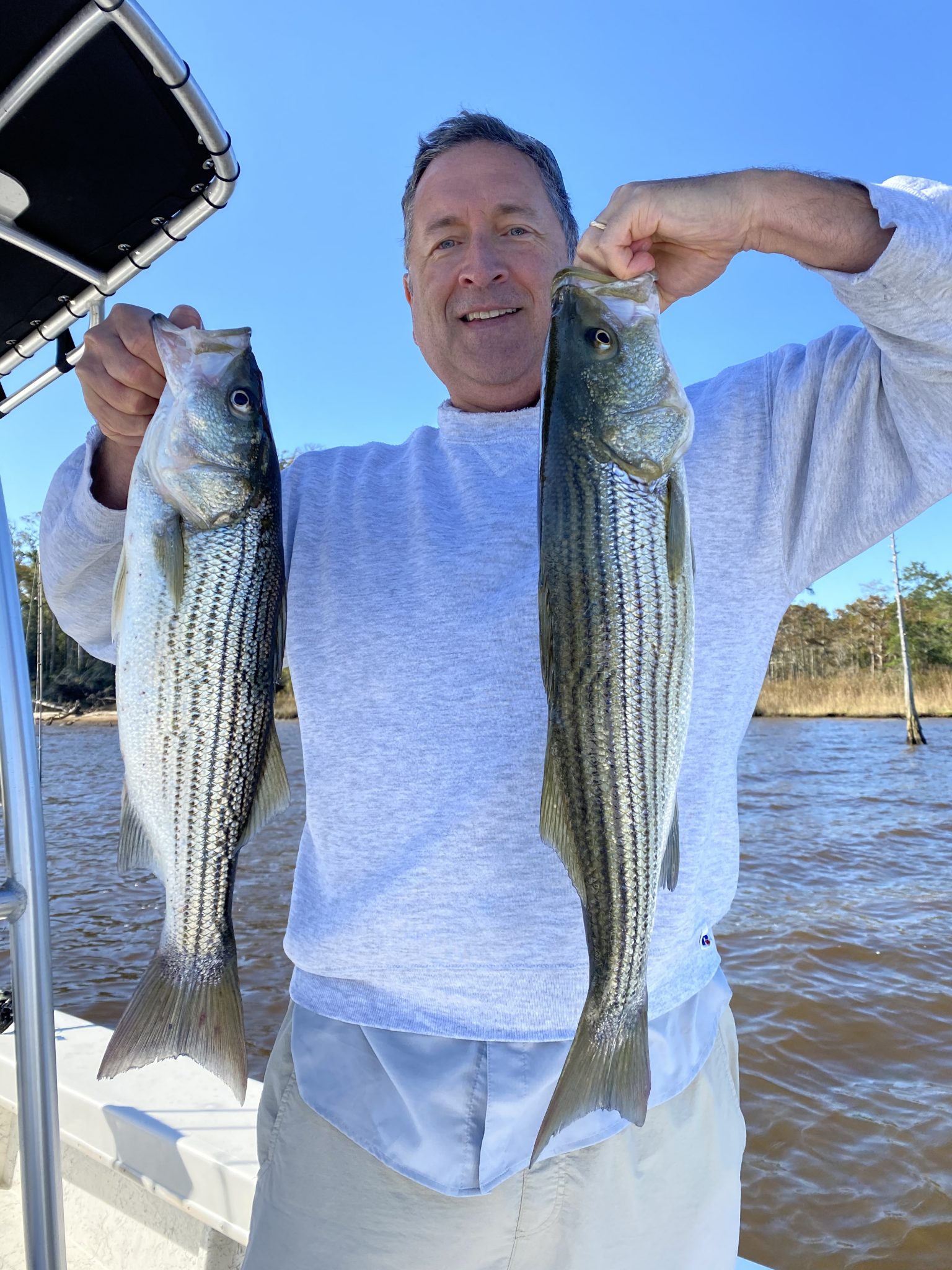 trophy freshwater drum mud river trophy freshwater drum mud river