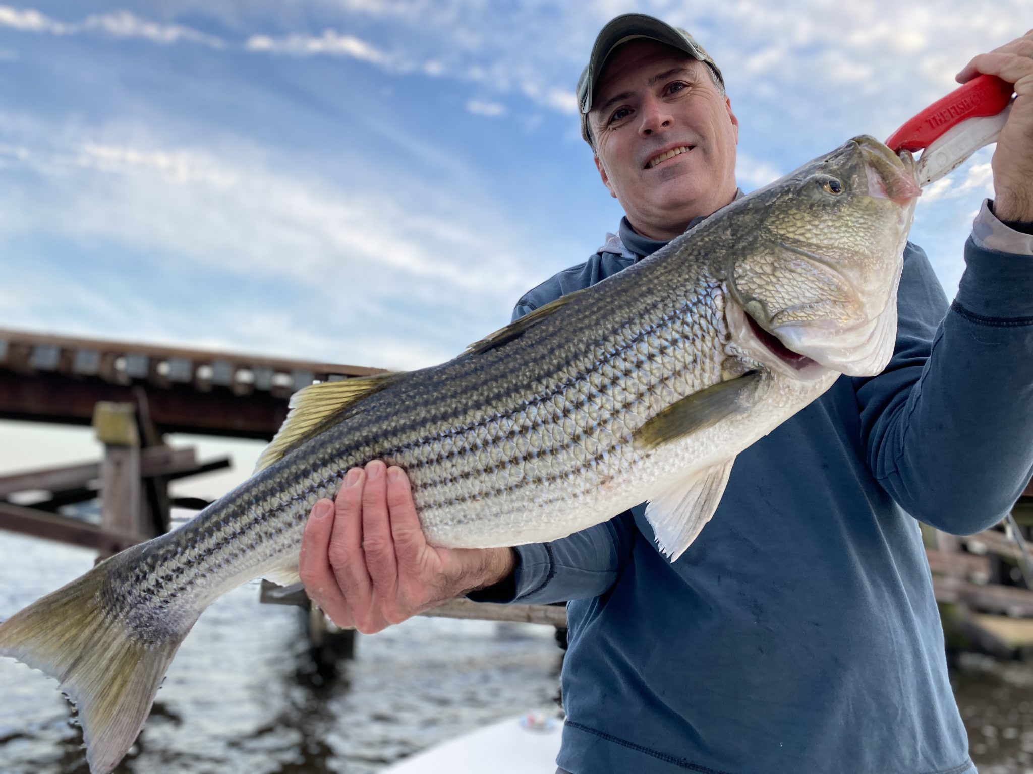 Epic Striper Bite FishIBX Eastern NC Fishing Guide