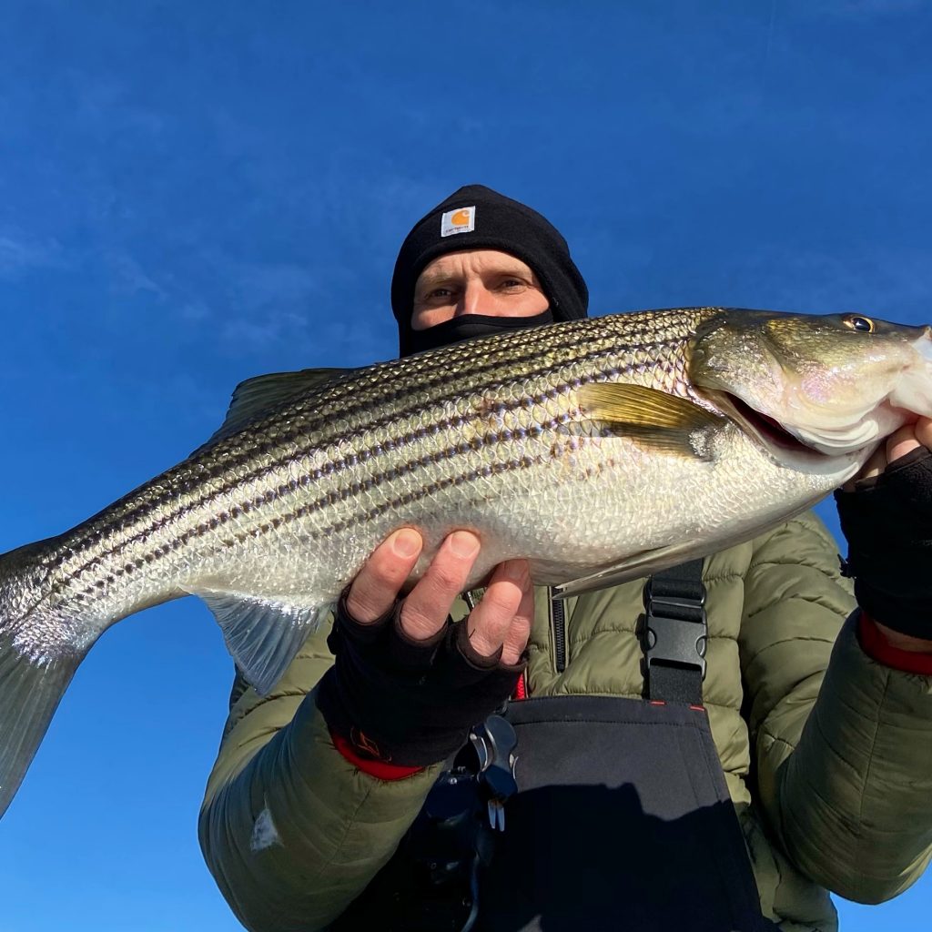 trophy freshwater drum mud river trophy freshwater drum mud river