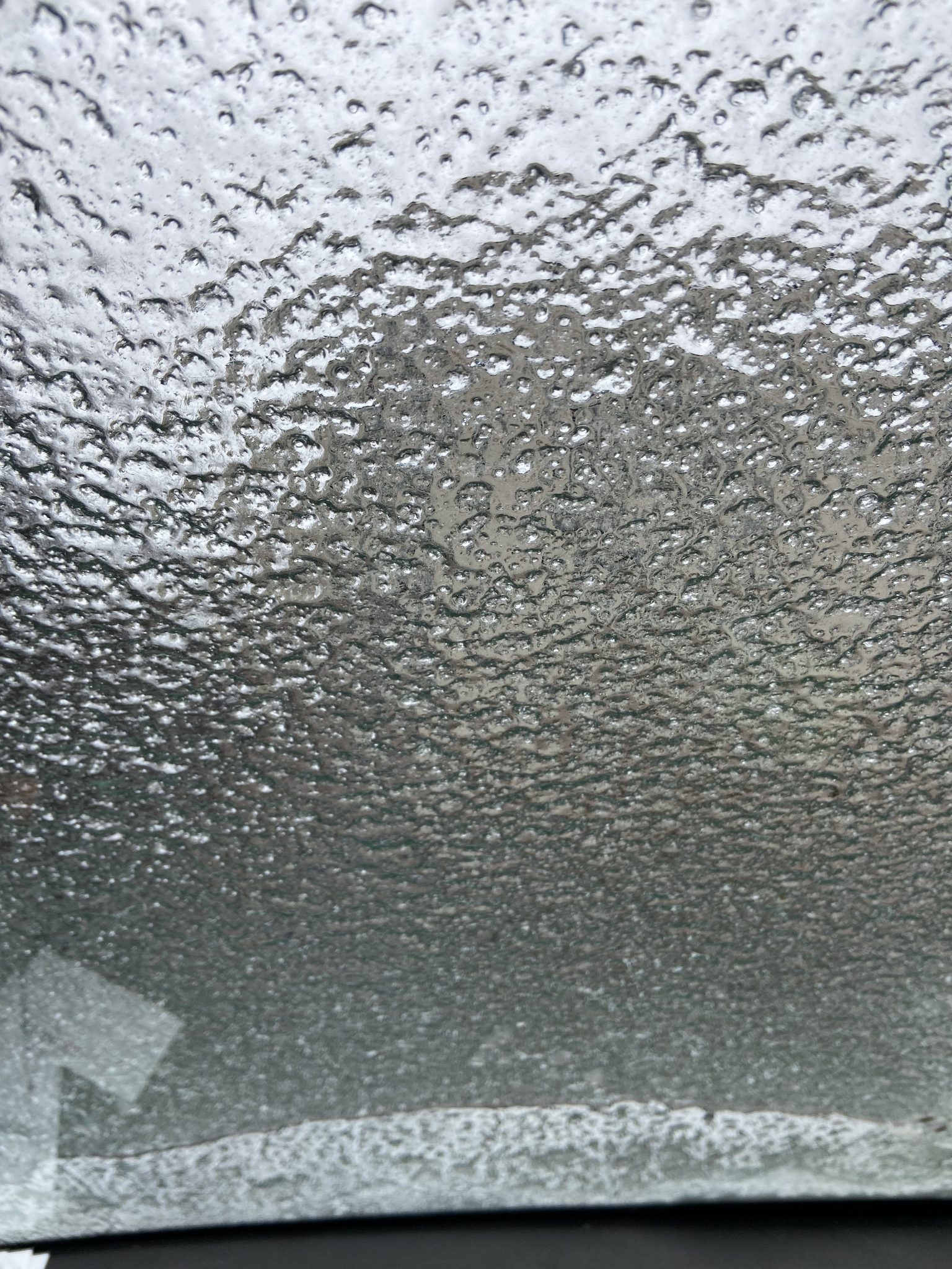 Raleigh Bass and Saltwater Expo Eastern NC Fishing Guide