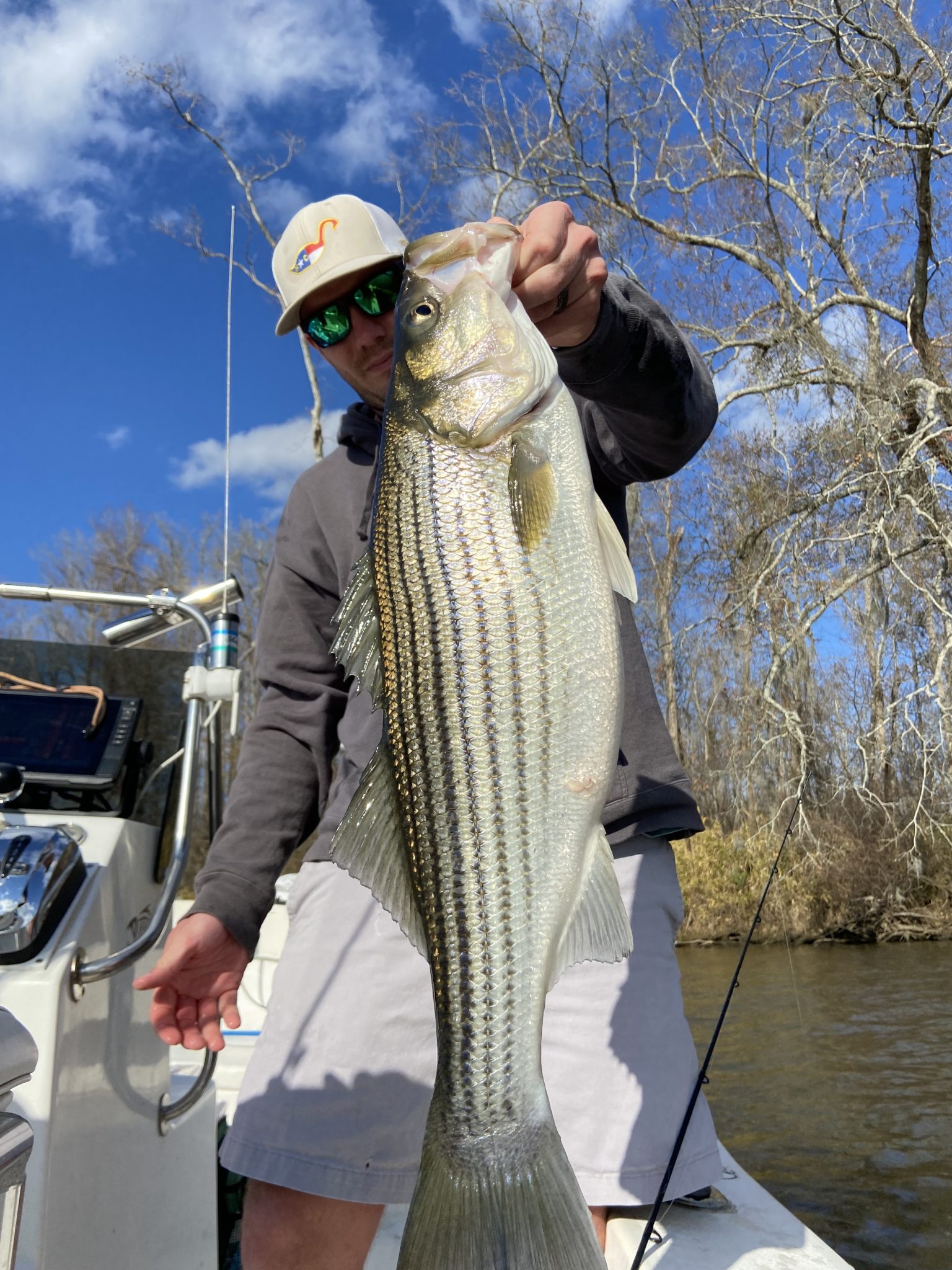 NC Striper Fishing Eastern NC Fishing Guide